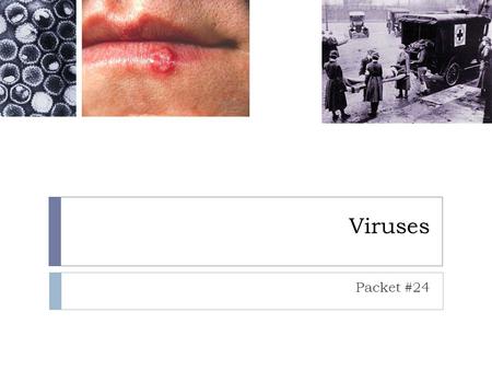 Viruses Packet #24. Introduction  A virus, or virion, is a tiny particle consisting of DNA or RNA surrounded by a protein coat called a capsid.  Viruses.