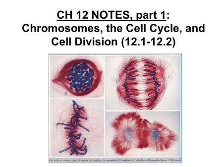 ● The ability of organisms to reproduce best distinguishes living things from nonliving matter