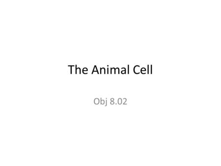 The Animal Cell Obj 8.02. The Cell Body is made up of millions of cells Basic unit of the body and life.