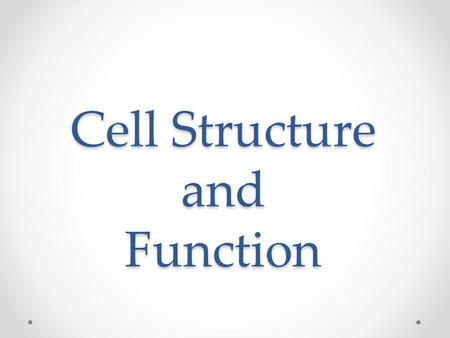 Cell Structure and Function