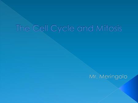 The Cell Cycle and Mitosis