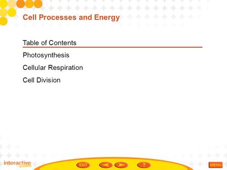 Cell Processes and Energy