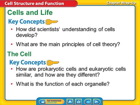 Cells and Life How did scientists‘ understanding of cells develop?