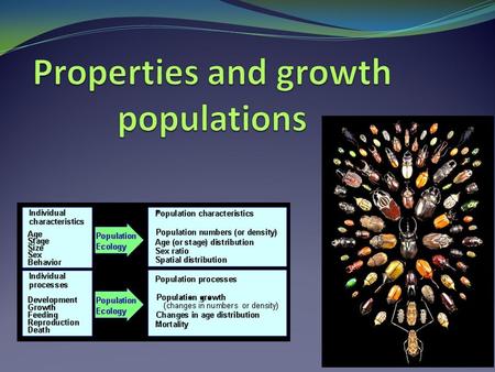 Population size and density Population size Population size Determined by: Determined by: actual count actual count Sampling Sampling Population Density.