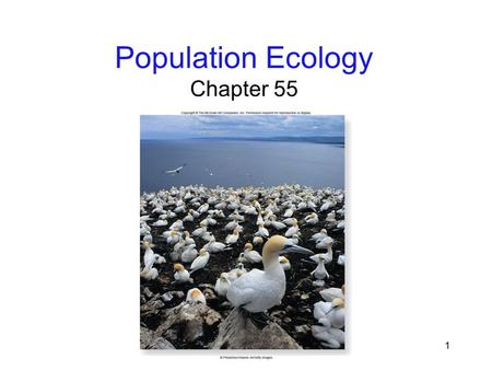 Population Ecology Chapter 55