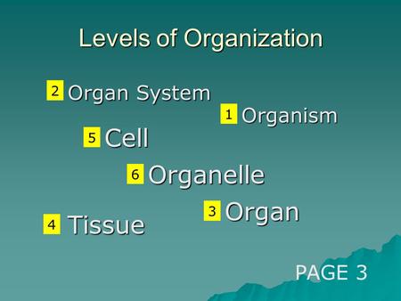 Levels of Organization