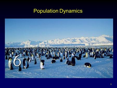 Population Dynamics.