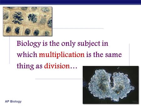 AP Biology 2007-2008 Biology is the only subject in which multiplication is the same thing as division…