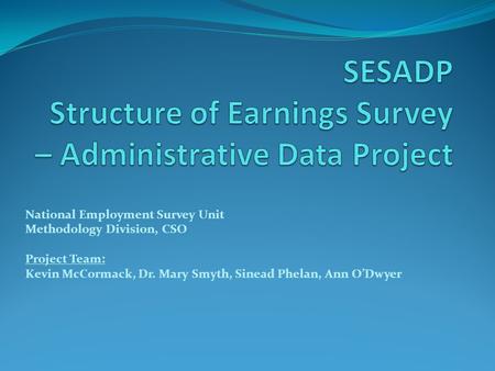 National Employment Survey Unit Methodology Division, CSO Project Team: Kevin McCormack, Dr. Mary Smyth, Sinead Phelan, Ann O’Dwyer.
