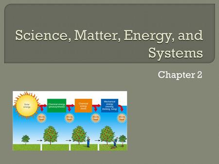 Chapter 2.  F. Herbert Bormann, Gene Likens, et al.: Hubbard Brook Experimental Forest in NH (U.S.)  Compared the loss of water and nutrients from.