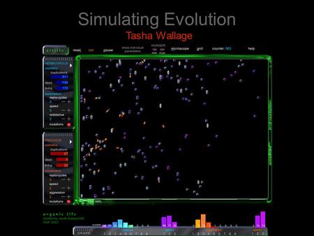 Simulating Evolution Tasha Wallage. Simulating Evolution Microevolution Genetic Mutation Genetic Drift Natural Selection.