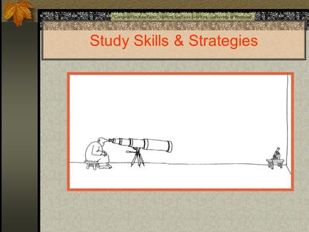 Study Skills & Strategies