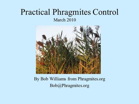 Practical Phragmites Control By Bob Williams from Phragmites.org March 2010.