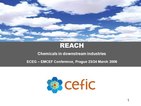 1 REACH Chemicals in downstream industries ECEG – EMCEF Conference, Prague 23/24 March 2006.