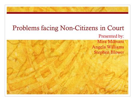 Problems facing Non-Citizens in Court Presented by: Mira Mdivani Angela Williams Stephen Blower.