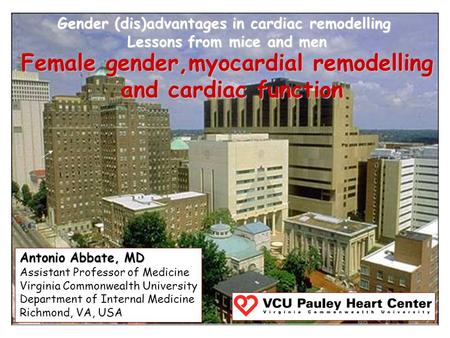 Gender (dis)advantages in cardiac remodelling Lessons from mice and men Female gender,myocardial remodelling and cardiac function and cardiac function.