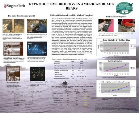 Head REPRODUCTIVE BIOLOGY IN AMERICAN BLACK BEARS Colleen Olfenbuttel 1, and Dr. Michael Vaughan 2 Abstract: The Center for Ursid Research in Blacksburg,