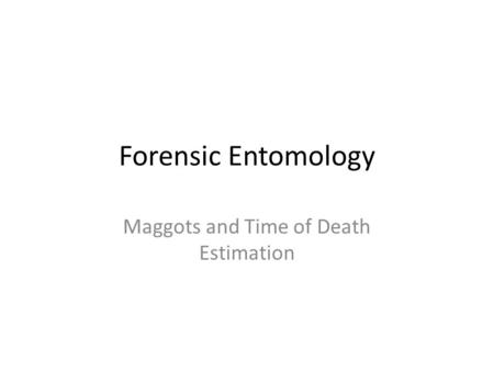 Maggots and Time of Death Estimation