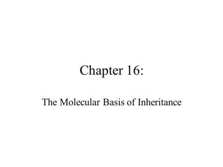 Chapter 16: The Molecular Basis of Inheritance. Mendel discovered the existence of heritable factors… Just about 60 years ago biologists had a dilemma: