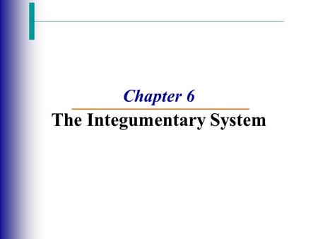 Chapter 6 The Integumentary System