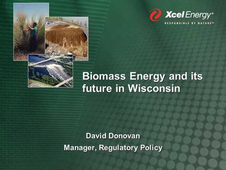 Biomass Energy and its future in Wisconsin David Donovan Manager, Regulatory Policy David Donovan Manager, Regulatory Policy.