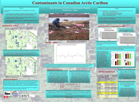 Organic contaminants in Arctic Caribou Contaminants in Canadian Arctic Caribou Mary Gamberg, Northern Contaminants Program Whitehorse, Yukon Caribou hunter,