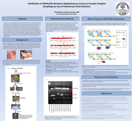 AbstractMaterials and Methods There are very few published studies about the prevalence of Methicillin Resistant Staphylococcus aureus (MRSA) in Ecuador.