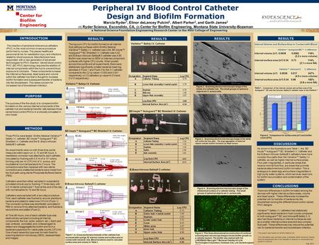 A National Science Foundation Engineering Research Center in the MSU College of Engineering Center for Biofilm Engineering INTRODUCTION Peripheral IV Blood.