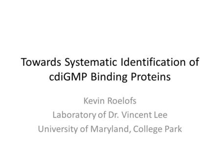 Towards Systematic Identification of cdiGMP Binding Proteins