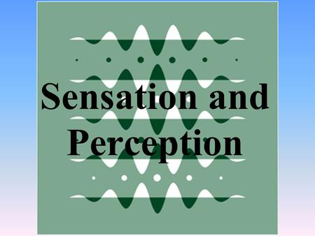 Sensation and Perception. Sensation process by which our sensory systems receive stimuliThe process by which our sensory systems (eyes, ears, and other.