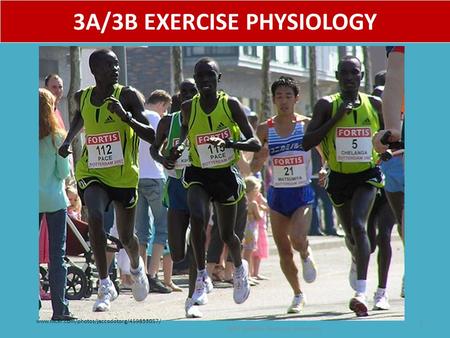 3A/3B EXERCISE PHYSIOLOGY ©PE Studies Revision Seminars 1 www.flickr.com/photos/jaccodotorg/459853057/