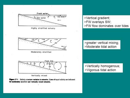 >Vertical gradient; >FW overlays SW; >FW flow dominates over tides >greater vertical mixing; >Moderate tidal action >Vertically homogenous; >Vigorous tidal.