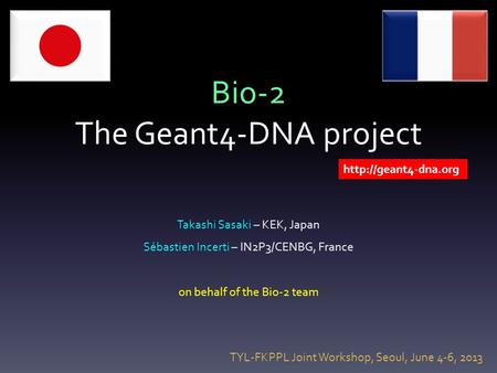 Bio-2 The Geant4-DNA project