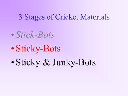 3 Stages of Cricket Materials Stick-Bots Sticky-Bots Sticky & Junky-Bots.