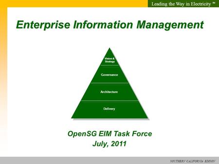 Enterprise Information Management