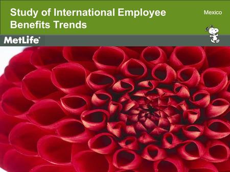 Metropolitan Life Insurance Company 200 Park Avenue, New York, NY 10166 11085729(exp1009)MLIC-LD Study of International Employee Benefits Trends Mexico.