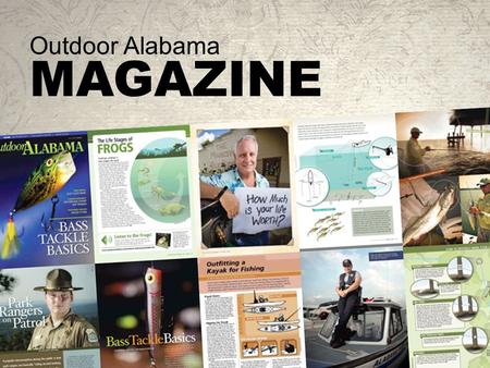 Outdoor Alabama MAGAZINE. Increasing Circulation  Direct Mail  Advantages: proven method; trackable results  Disadvantages: postal expense; must have.