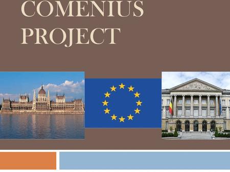 COMENIUS PROJECT. Health insurance -medicines -dental work -vaccinations -prosthesis -transport -fertility treatments Medical costs… Belgium - Orthodontic.