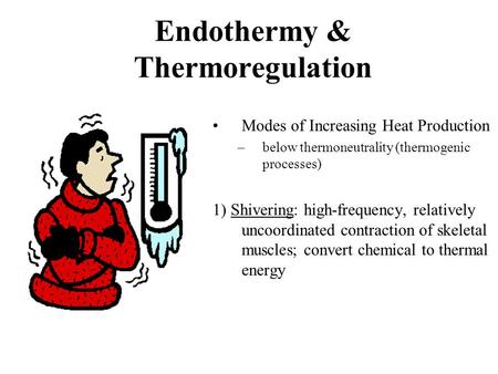 Endothermy & Thermoregulation