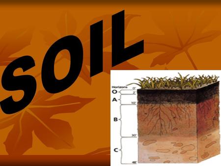 SOIL.