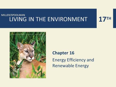 17 TH MILLER/SPOOLMAN LIVING IN THE ENVIRONMENT Chapter 16 Energy Efficiency and Renewable Energy.