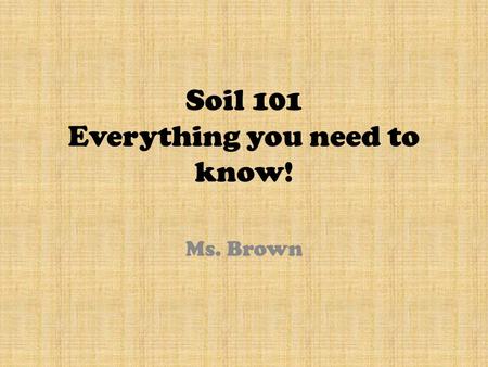 Soil 101 Everything you need to know!