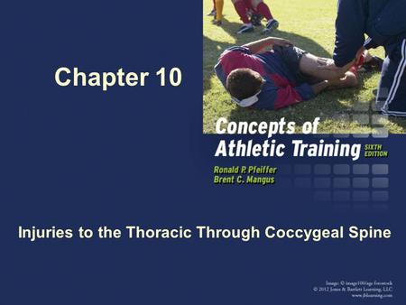 Chapter 10 Injuries to the Thoracic Through Coccygeal Spine.