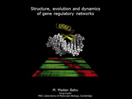 Structure, evolution and dynamics of gene regulatory networks Group Leader MRC Laboratory of Molecular Biology, Cambridge M. Madan Babu.