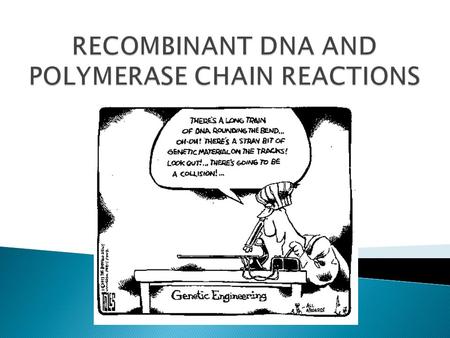  DNA – Double Helix Structure  Each spiral strand is composed of a sugar phosphate backbone and attached bases  4 Bases: Adenine (A), Guanine(G), Cytosine.