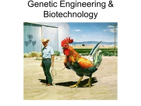 Genetic Engineering & Biotechnology