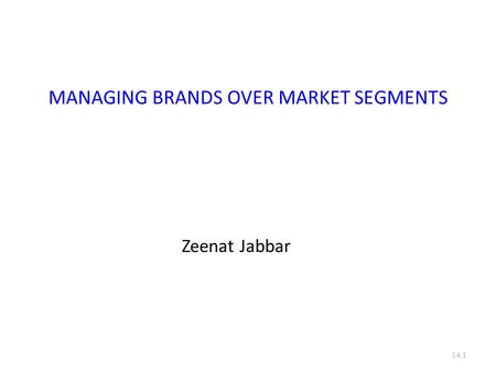 MANAGING BRANDS OVER MARKET SEGMENTS