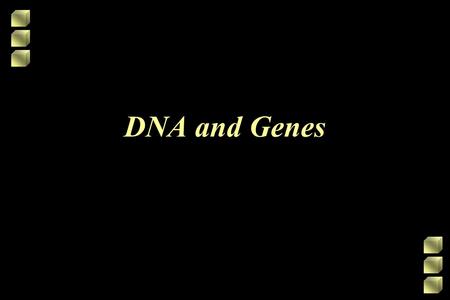 DNA and Genes. The Structure of DNA DNA is a type of nucleic acid DNA is made of subunits called nucleotides Strand of DNA looks like a 3D-double helix.