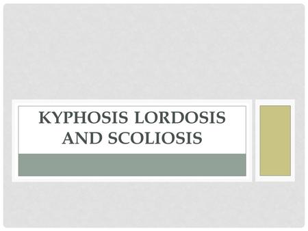 kyphosis lordosis and scoliosis