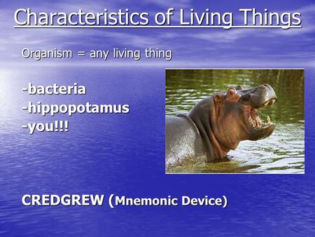 Characteristics of Living Things